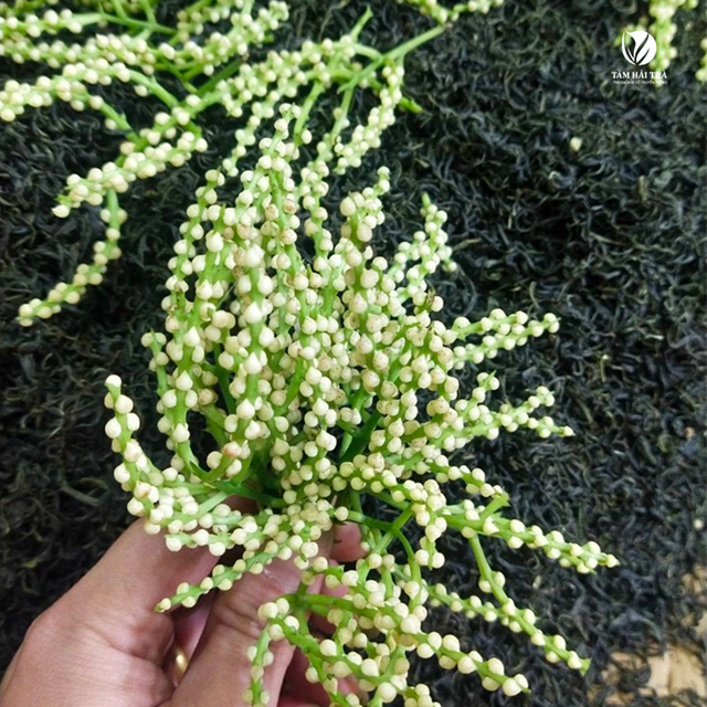 Những loại tr&#224; ướp hương nổi tiếng Việt Nam - Ảnh 3