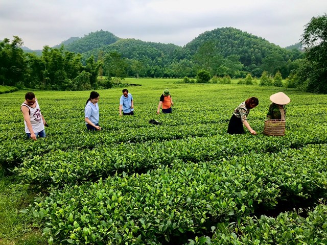 Kh&#225;m ph&#225; du lịch sinh th&#225;i tr&#224; bản Ven - Ảnh 4