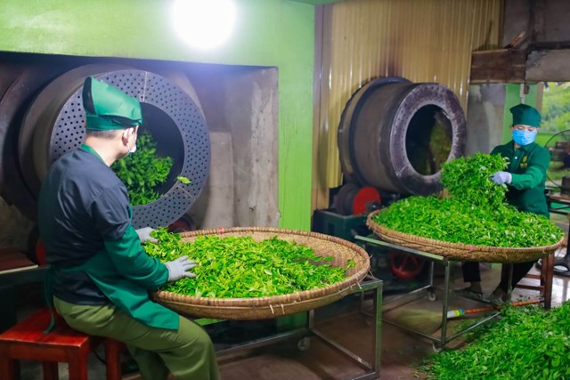 N&#226;ng cao gi&#225; trị ch&#232; Việt: Cần c&#250; h&#237;ch từ c&#244;ng nghệ chế biến - Ảnh 2