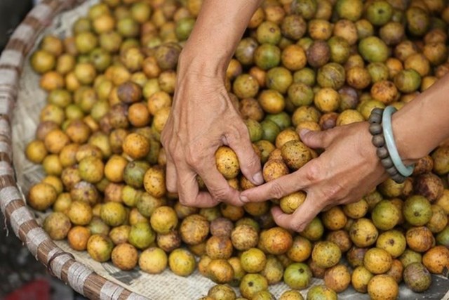 M&#249;a sấu ch&#237;n tr&#234;n c&#225;c con phố H&#224; Nội  - Ảnh 1