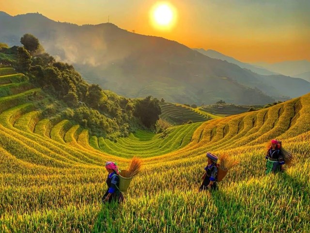 Du lịch M&#249; Cang Chải m&#249;a l&#250;a ch&#237;n - Ảnh 1