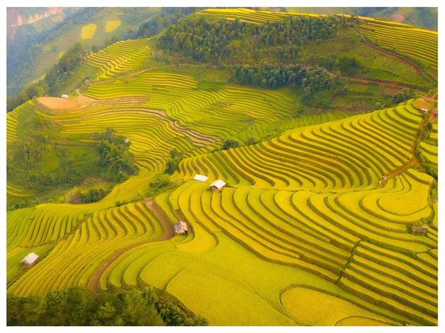 Du lịch M&#249; Cang Chải m&#249;a l&#250;a ch&#237;n - Ảnh 3