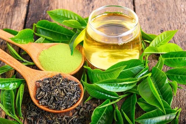 Một t&#225;ch tr&#224; mỗi ng&#224;y - L&#225; chắn chống vi&#234;m hiệu quả - Ảnh 1