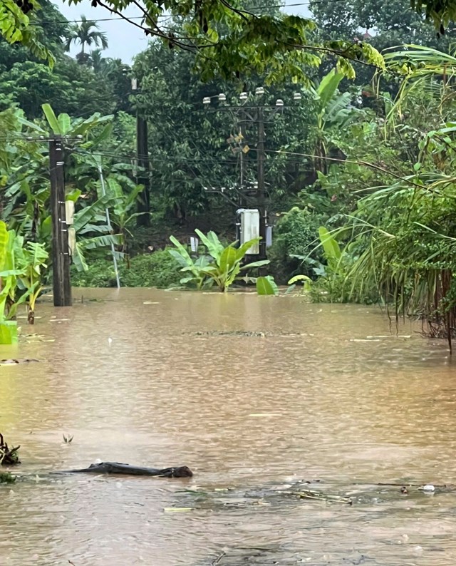 Khu vực huyện B&aacute;t S&aacute;t, L&agrave;o Cai