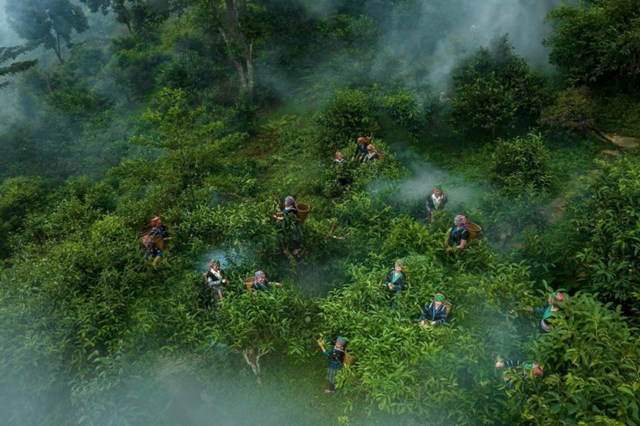 “Tea &amp; Mother”: Khi ch&#233;n tr&#224; gắn với t&#236;nh mẹ v&#224; kh&#225;t vọng sinh kế bền vững - Ảnh 2