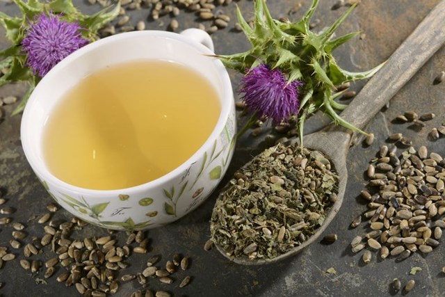 Tr&#224; c&#226;y kế sữa – Phương thuốc bảo vệ l&#225; gan - Ảnh 2