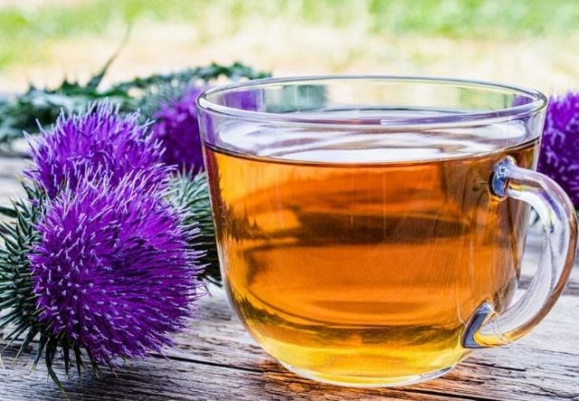 Tr&#224; c&#226;y kế sữa – Phương thuốc bảo vệ l&#225; gan - Ảnh 3