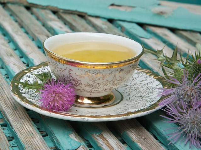 Tr&#224; c&#226;y kế sữa – Phương thuốc bảo vệ l&#225; gan - Ảnh 4