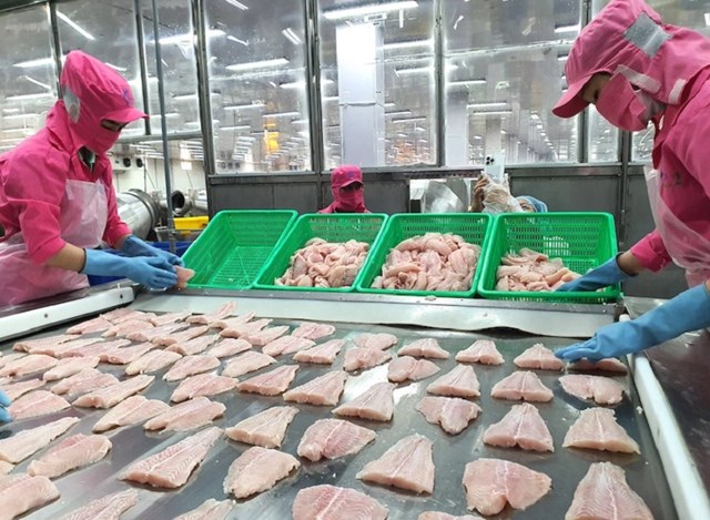 C&#225; tra Việt Nam g&#243;p mặt trong thực đơn của chuỗi sushi nổi tiếng Nhật Bản - Ảnh 1
