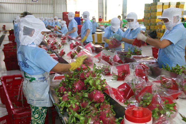 N&#244;ng nghiệp Việt Nam: Vững v&#224;ng tr&#234;n h&#224;nh tr&#236;nh xanh h&#243;a v&#224; bứt ph&#225; xuất khẩu - Ảnh 2