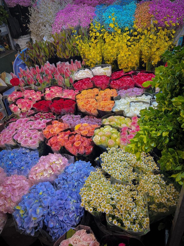 Chợ đầu mối hoa tươi Quảng B&aacute; đa dạng c&aacute;c loại hoa