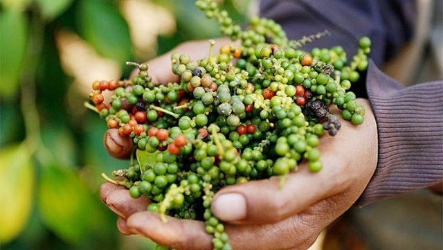 Bản tin Ti&#234;u d&#249;ng: Lựu Trung Quốc la liệt chợ Việt  - Ảnh 5