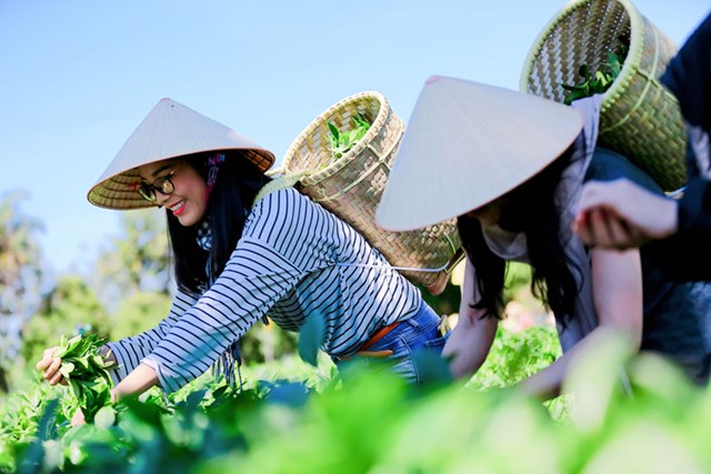 Sản phẩm OCOP - Điểm l&#224;m n&#234;n sự kh&#225;c biệt của du lịch n&#244;ng th&#244;n - Ảnh 2