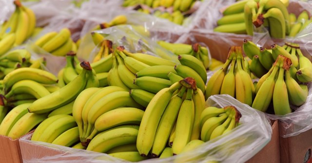 Chuối Việt Nam chinh phục thị trường khó tính - Ảnh 1
