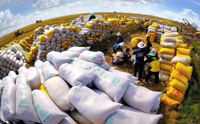 Xuất khẩu gạo th&#225;ng 10 tăng cao kỷ lục  - Ảnh 2