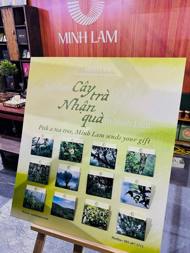 Gian h&agrave;ng trưng b&agrave;y của Minh Lam tại TeaShow