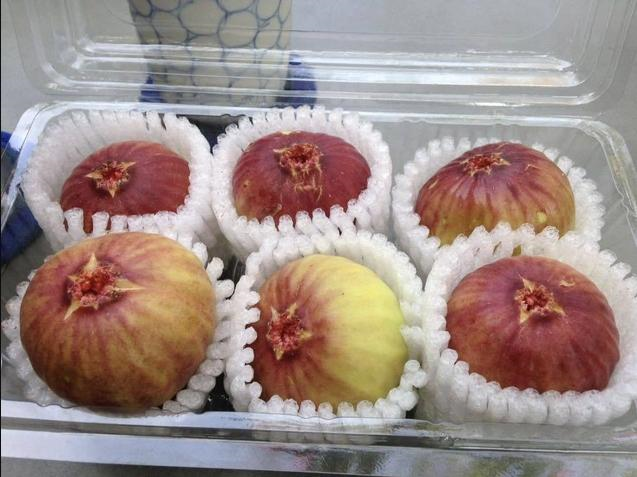 Bản tin Ti&#234;u d&#249;ng 17/11: Loại sung khổng lồ “l&#224;m mưa l&#224;m gi&#243;” tr&#234;n thị trường - Ảnh 3