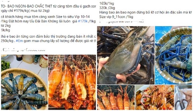 T&ocirc;m c&agrave;ng xanh được rao b&aacute;n với gi&aacute; rẻ bất ngờ