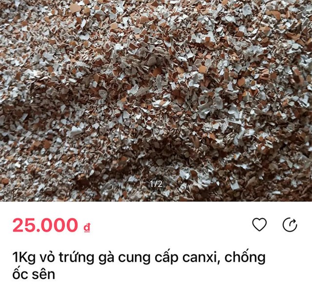 Vỏ trứng g&agrave; &iacute;t người biết c&oacute; thể b&aacute;n được