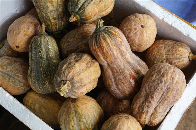 Bản tin Ti&#234;u d&#249;ng: Mứt dừa 400.000 đồng/kg vẫn h&#250;t kh&#225;ch, gi&#225; v&#233; m&#225;y bay Tết tăng cao - Ảnh 3