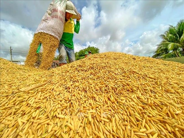 Bản tin Ti&#234;u d&#249;ng: Mứt dừa 400.000 đồng/kg vẫn h&#250;t kh&#225;ch, gi&#225; v&#233; m&#225;y bay Tết tăng cao - Ảnh 6
