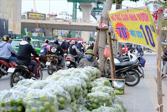 Người ti&ecirc;u d&ugrave;ng băn khoăn về gi&aacute; của loại cam Vinh n&agrave;y