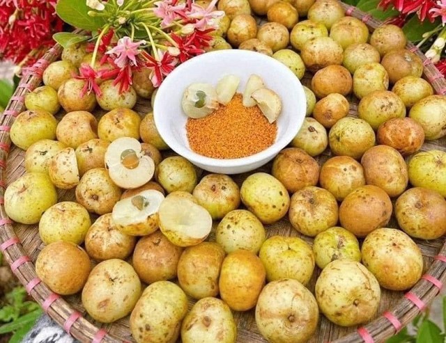 Bản tin Ti&#234;u d&#249;ng: Th&#244;ng tươi mini cực hot m&#249;a Noel - Ảnh 3
