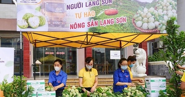 N&#244;ng sản Việt tr&#234;n s&#224;n thương mại điện tử: Sự chuyển m&#236;nh v&#224; tiềm năng ph&#225;t triển - Ảnh 1