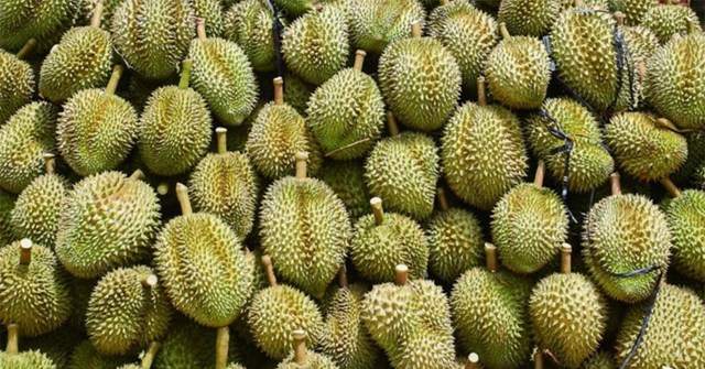 Bản tin Tiêu dùng: Vải thiều Úc trái vụ giá gần 5 triệu đồng/thùng - Ảnh 1