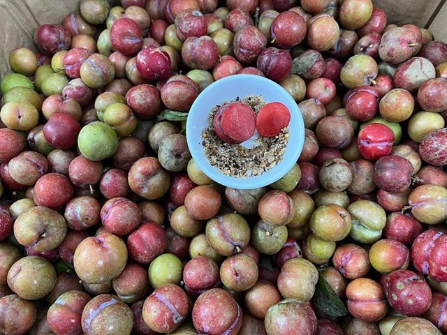 Bản tin Ti&#234;u d&#249;ng: Bưởi đỏ gi&#225; gần 100.000 đồng/quả, kh&#225;ch đặt mua trước cả th&#225;ng - Ảnh 1