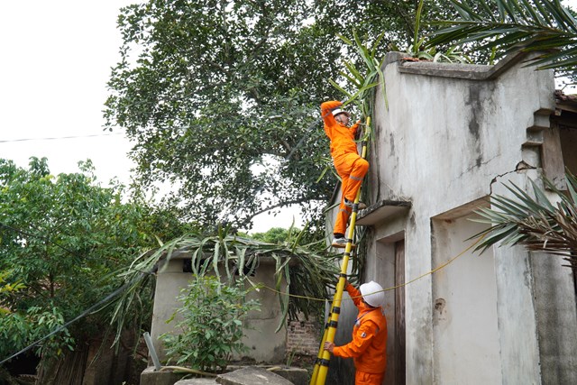 Tổng c&#244;ng ty Điện lực miền Bắc đảm bảo điện phục vụ sản xuất cuối năm 2024 v&#224; sản xuất h&#224;ng Tết Nguy&#234;n đ&#225;n Ất Tỵ 2025 - Ảnh 2