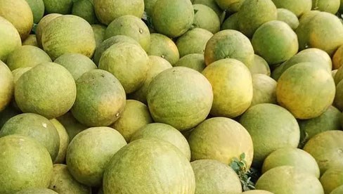 Bản tin Ti&#234;u d&#249;ng: Bưởi đỏ gi&#225; gần 100.000 đồng/quả, kh&#225;ch đặt mua trước cả th&#225;ng - Ảnh 4