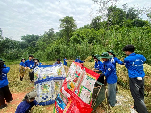 Trường Cao đẳng Y tế Hà Đông: Lan tỏa tinh thần nhân ái từ Chiến dịch “Mùa hè xanh 2026” - Ảnh 7