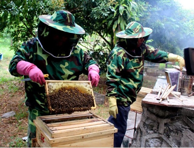 Quy tr&igrave;nh sản xuất mật ong