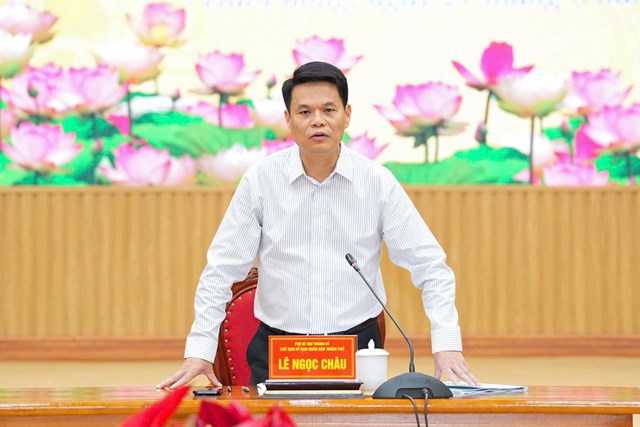 Đồng ch&iacute; L&ecirc; Ngọc Ch&acirc;u &ndash; Ph&oacute; B&iacute; thư Th&agrave;nh ủy, Chủ tịch UBND th&agrave;nh phố ph&aacute;t biểu chỉ đạo tại buổi l&agrave;m việc.
