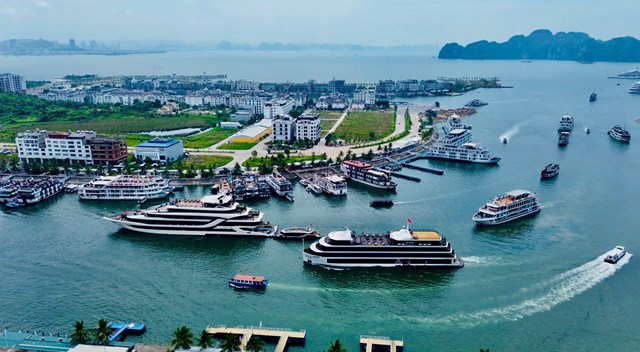 Rực rỡ cờ hoa đón mừng thành phố Quảng Ninh - Ảnh 4