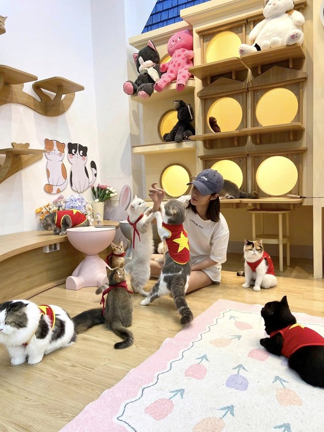 Điều đặc biệt tại Katty Coffee ch&iacute;nh l&agrave; sự chăm s&oacute;c tận t&igrave;nh d&agrave;nh cho c&aacute;c b&eacute; th&uacute; cưng, từ việc giữ g&igrave;n vệ sinh, sức khỏe đến c&aacute;ch ch&uacute;ng được huấn luyện th&acirc;n thiện, dạn người