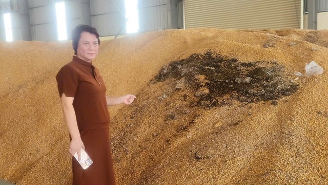 B&agrave; Nguyễn Thị &Aacute;nh, Gi&aacute;m đốc C&ocirc;ng ty FAGO cho biết tổng&nbsp;gi&aacute; trị thiệt hại của đơn vị qua đợt b&atilde;o lũ v&ugrave;a qua khoảng 10 tỷ đồng.&nbsp;