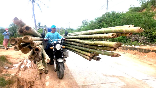 Tre l&agrave; nguy&ecirc;n liệu ch&iacute;nh gi&uacute;p người nu&ocirc;i t&ocirc;m h&ugrave;m ở S&ocirc;ng Cầu l&agrave;m b&egrave; nu&ocirc;i. Tuy nhi&ecirc;n, nhiều hộ đang thiếu vốn n&ecirc;n vẫn chưa thể mua tre để l&agrave;m lại lồng b&egrave;.