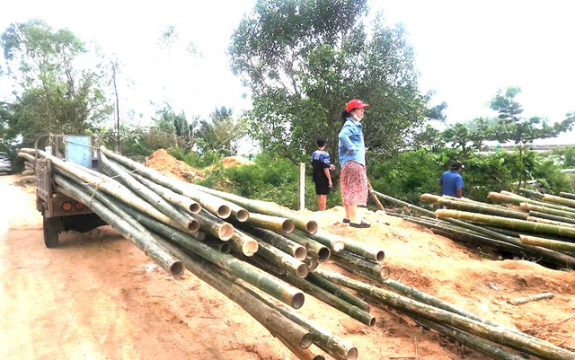 Sau b&atilde;o lũ, nhiều người d&acirc;n v&ugrave;ng nu&ocirc;i t&ocirc;m h&ugrave;m ở S&ocirc;ng Cầu chỉ biết đứng nh&igrave;n về ph&iacute;a khu vực nu&ocirc;i m&agrave; chưa biết phải l&agrave;m c&aacute;ch g&igrave; để kh&ocirc;i phục nghề, t&aacute;i nu&ocirc;i lại t&ocirc;m cho m&ugrave;a vụ tới.