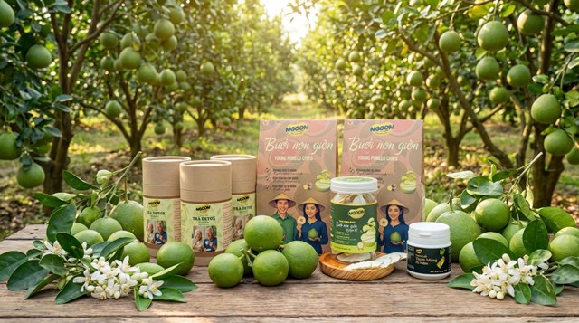 C&aacute;c sản phẩm từ bưởi non của Hợp t&aacute;c x&atilde; Nhi&ecirc;n T&acirc;m (ảnh: MInh họa)