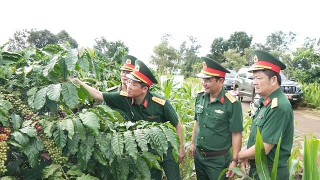 L&atilde;nh đạo Qu&acirc;n khu 5 thăm c&aacute;nh đồng mẫu lớn c&agrave; ph&ecirc; của C&ocirc;ng ty TNHH C&agrave; ph&ecirc; 15 tại T&acirc;y Nguy&ecirc;n.