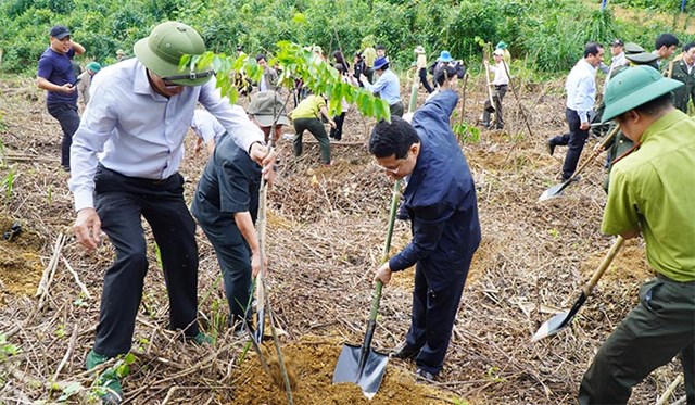 Ph&oacute; Chủ tịch UBND tỉnh Ho&agrave;ng Hải Minh tham gia trồng c&acirc;y tại x&atilde; Phong Mỹ, huyện Phong Điền (Thừa Thi&ecirc;n Huế)