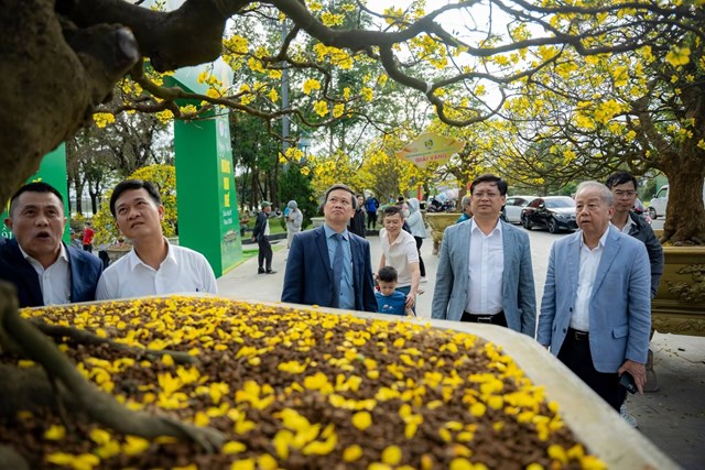 Sự kiện kh&ocirc;ng chỉ t&ocirc;n vinh gi&aacute; trị sinh th&aacute;i, thẩm mỹ m&agrave; c&ograve;n khẳng định vị thế của Ho&agrave;ng mai &ndash; lo&agrave;i hoa mang cốt c&aacute;ch, chiều s&acirc;u văn h&oacute;a v&agrave; bản sắc của người d&acirc;n Cố đ&ocirc;