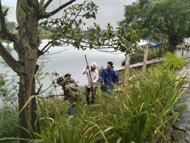 TP. Huế: Đồng loạt ra quân chỉnh trang đô thị, sẵn sàng diện mạo “Sáng - Xanh - Sạch” đón Tết Bính Ngọ 2026 - Ảnh 5