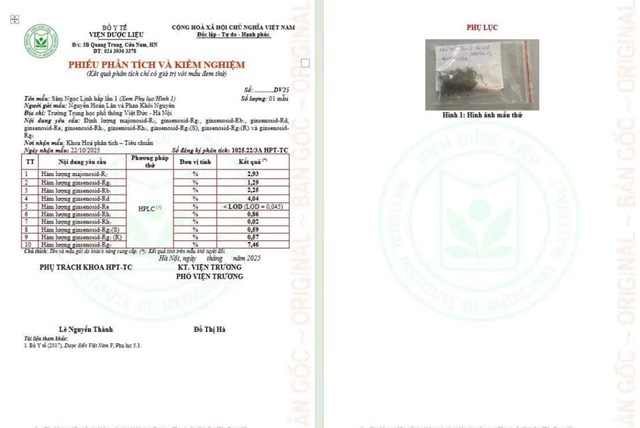 Một kết quả nghi&ecirc;n nghi&ecirc;n cứu tại Viện Dược liệu (Bộ Y tế) về S&acirc;m Ngọc Linh.