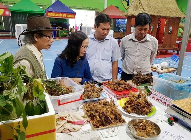 UBND th&agrave;nh phố Đ&agrave; Nẵng đ&atilde; ban h&agrave;nh kế hoạch triển khai Đề &aacute;n sản xuất giảm ph&aacute;t thải trong lĩnh vực trồng trọt giai đoạn 2025-2035, tầm nh&igrave;n đến năm 2050. Đề &aacute;n đặt mục ti&ecirc;u chuyển đổi mạnh mẽ phương thức sản xuất n&ocirc;ng nghiệp theo hướng sinh th&aacute;i, hiện đại v&agrave; bền vững.