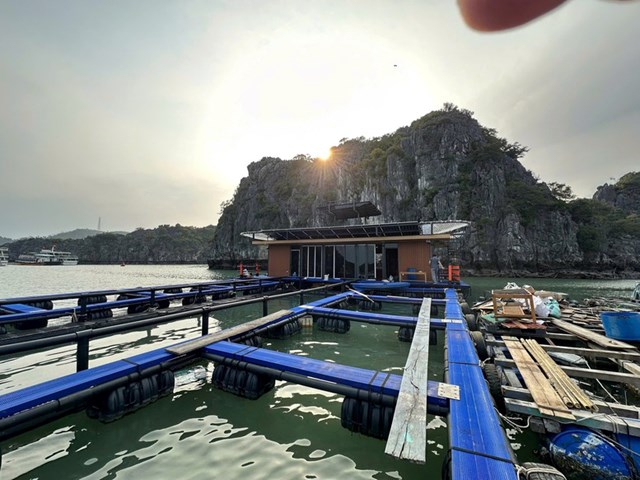 Nu&ocirc;i, trồng thủy sản được x&aacute;c định l&agrave; hướng ph&aacute;t triển bền vững v&agrave; hiệu quả thời gian tới - Ảnh: VGP/Đỗ Hương