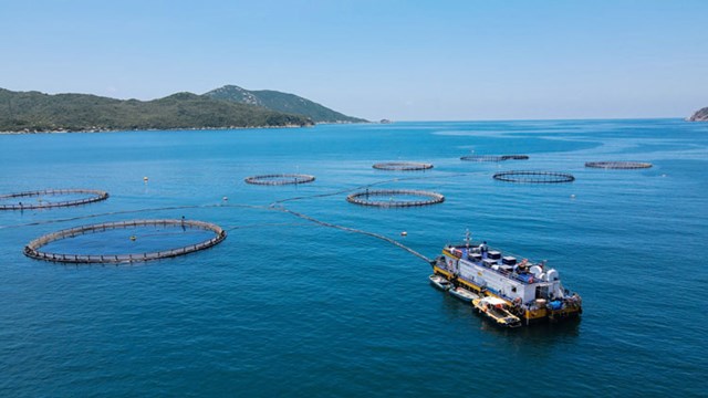 Kh&ocirc;ng chỉ dừng lại ở việc tạo điều kiện cho đầu tư, dự thảo Nghị định c&ograve;n đặc biệt quan t&acirc;m đến quyền lợi của người d&acirc;n v&agrave; doanh nghiệp khi Nh&agrave; nước thu hồi khu vực biển (ảnh:&nbsp;https://thuysanvietnam.com.vn)