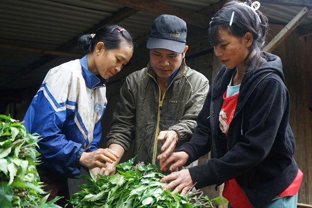 Đưa “tam nông” bước vào giai đoạn phát triển mới - Ảnh 1